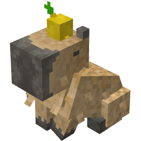 CAPYBARA